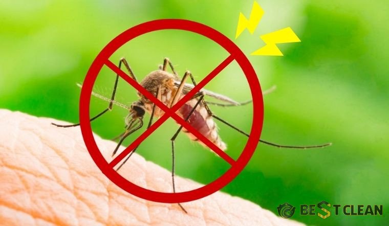 cách diệt muỗi trong phòng ngủ hiệu quả bằng mẹo dân gian dễ làm